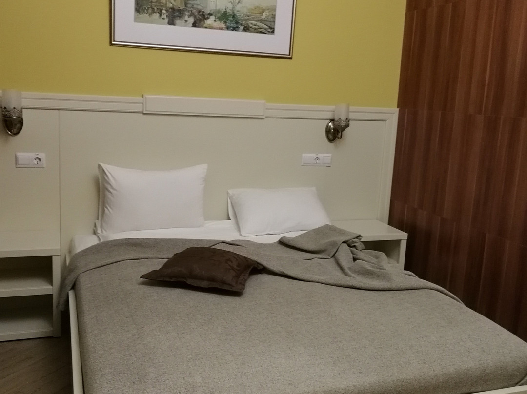 Mariinskiy Hotel主图