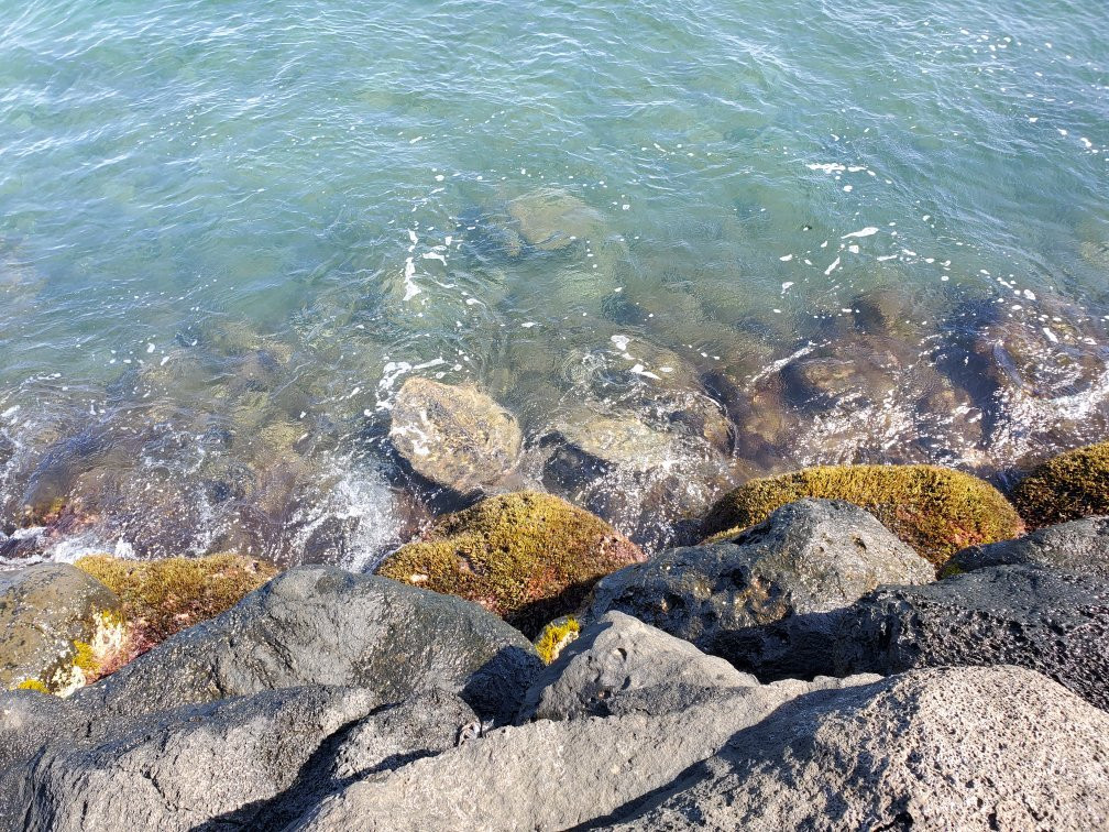 Maalaea Harbor-玛阿拉也亚必去景点