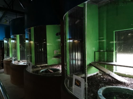 Parque Zoologico De San Luis Potosi景点图片