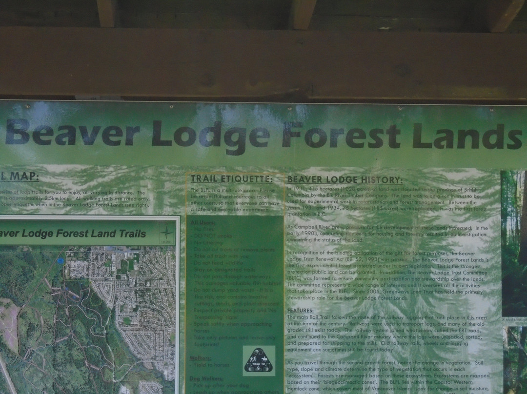 Beaver Lodge Forest Land景点图片