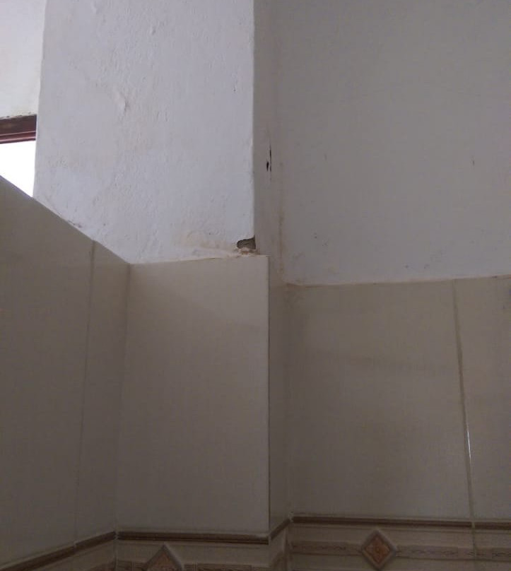 Morning Star Diani主图