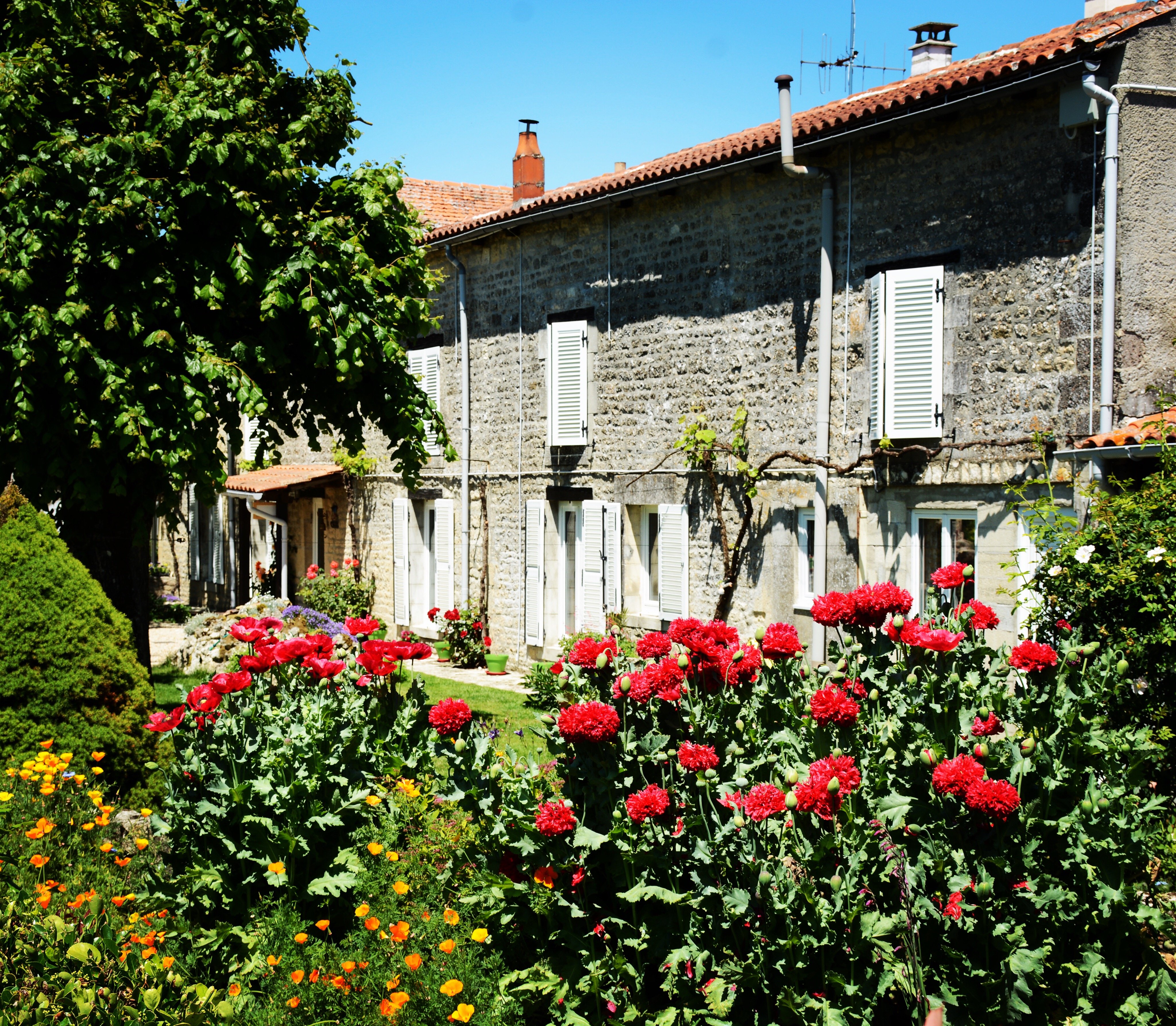 Les Noyers Aulnay-官方