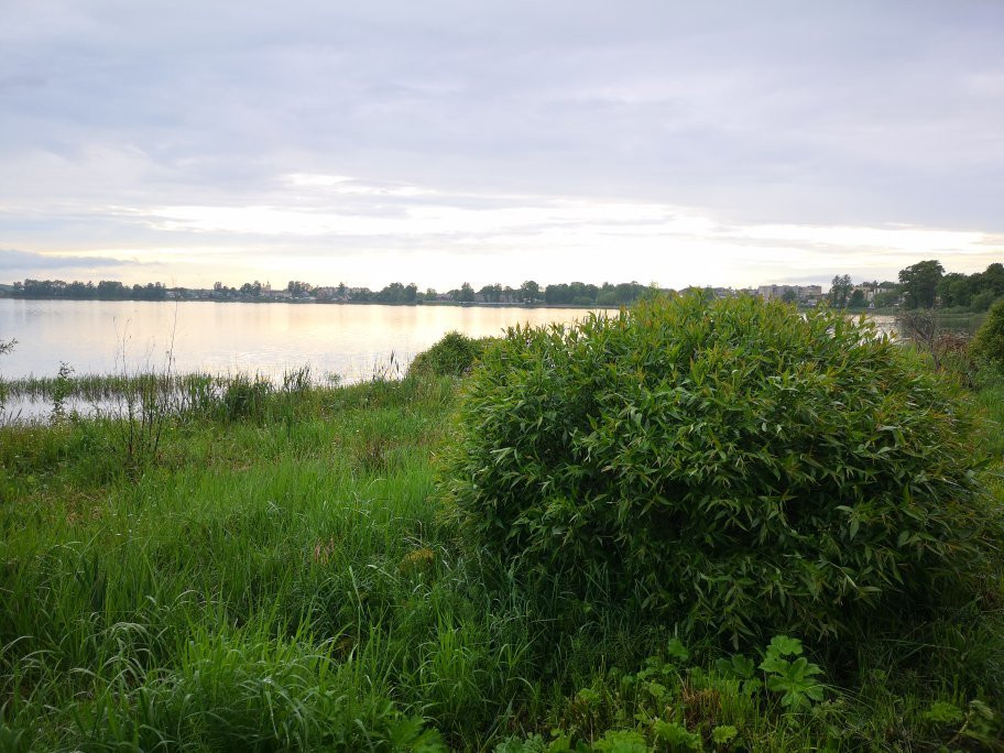 Bologoye Lake景点图片