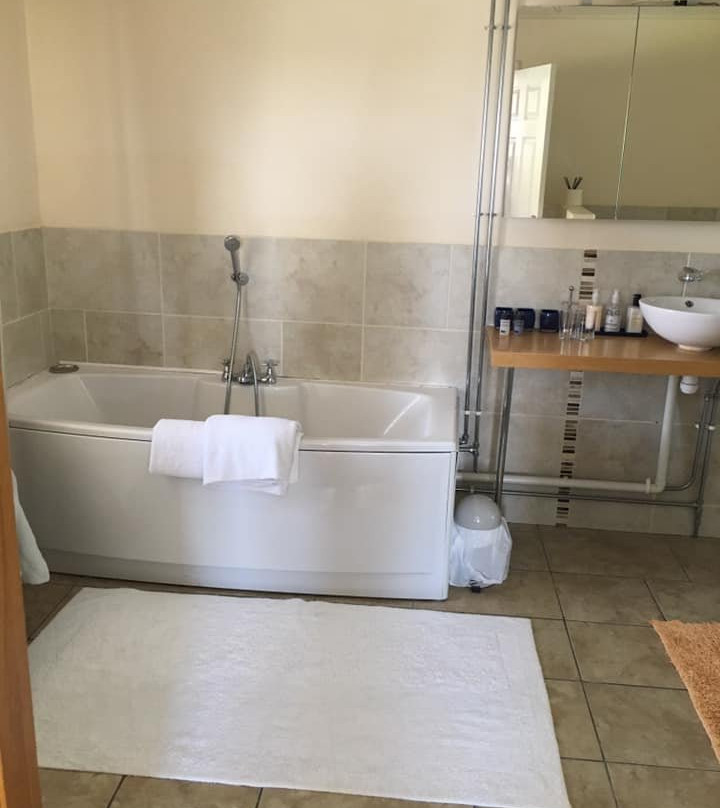 Teifi Waterside Hotel主图