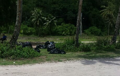 塔拉基海滨-塔穆宁必去景点