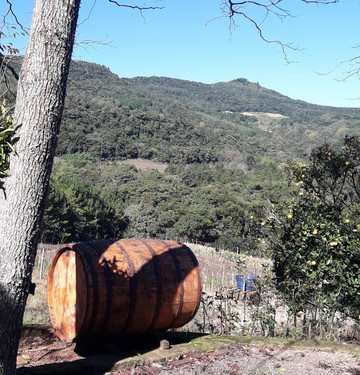 Vinhos Finger-Rolante必去景点