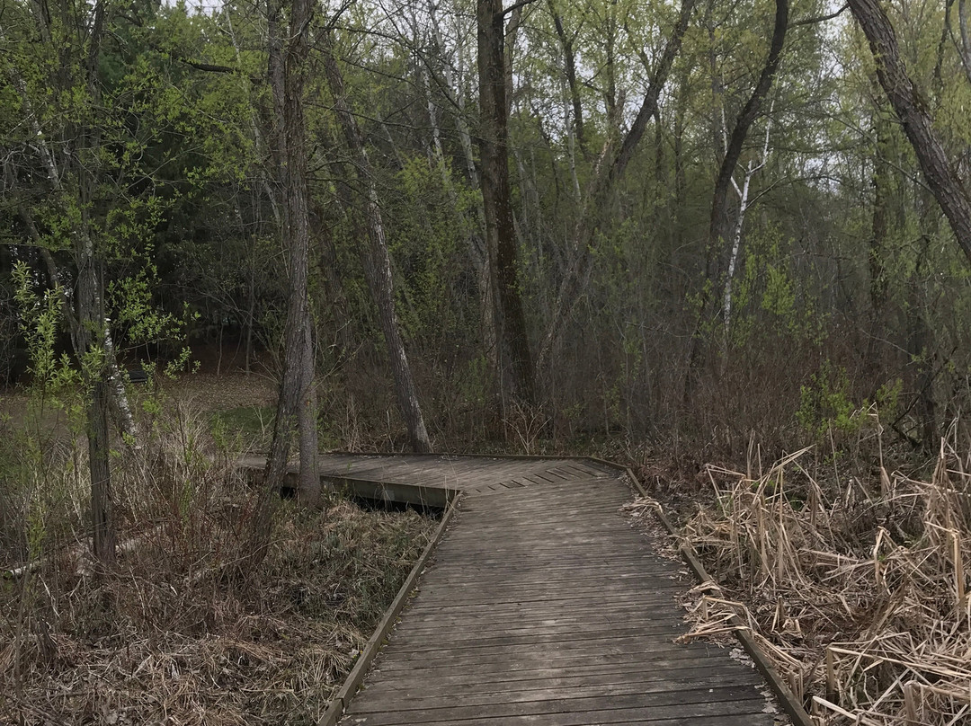 Tamarack Nature Preserve景点图片