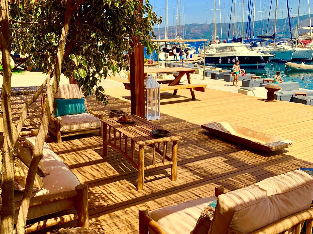 Ella Yacht Club主图