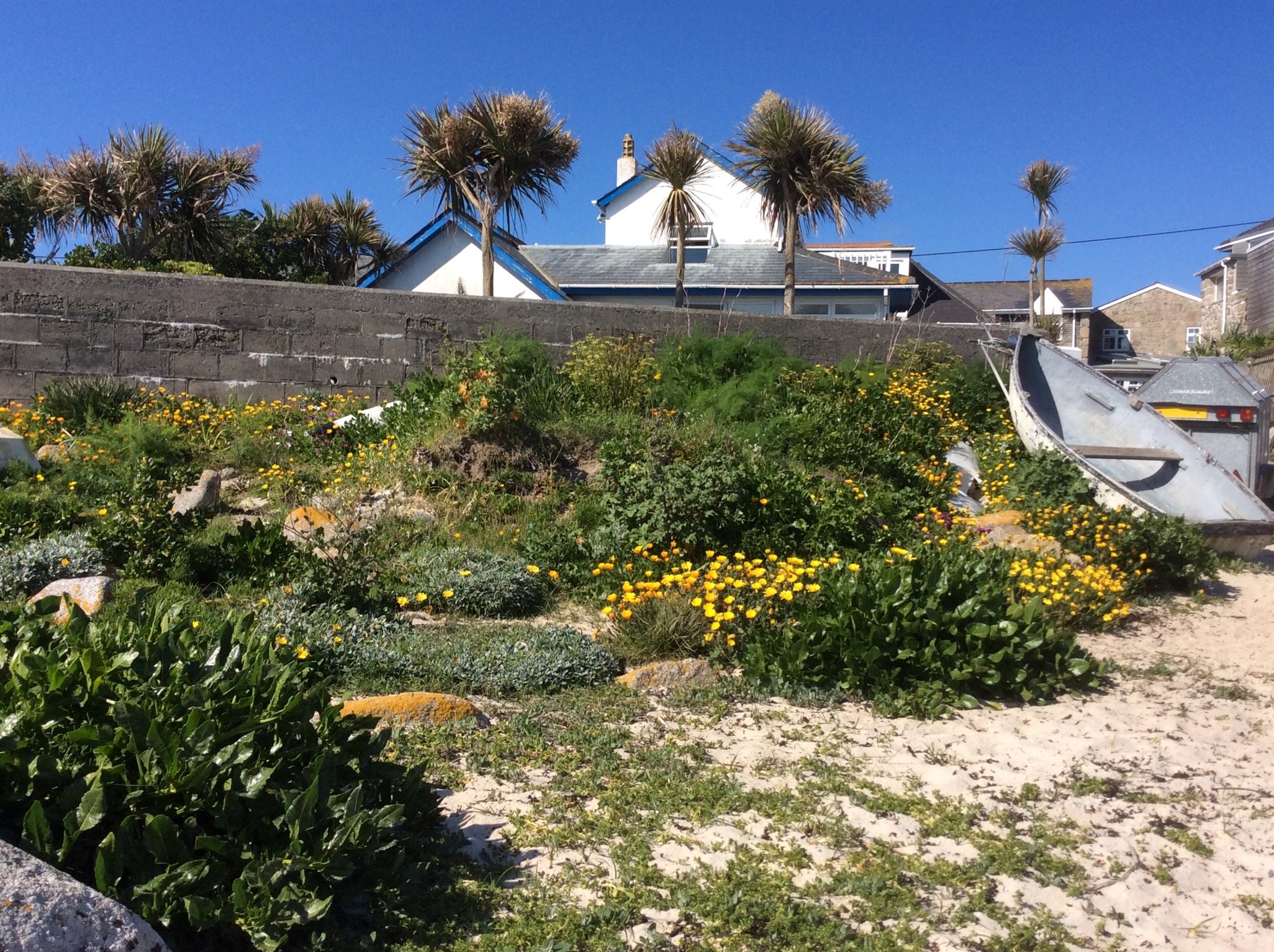 The Wheelhouse-家庭/游戏区