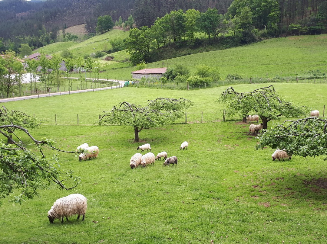 Bolunzulo-Kortezubi必去景点