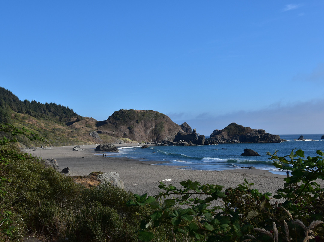 Lone Ranch Beach-布鲁金斯必去景点