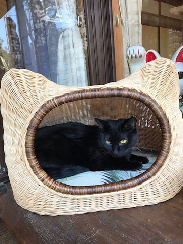Oji Shrine-德岛市必去景点
