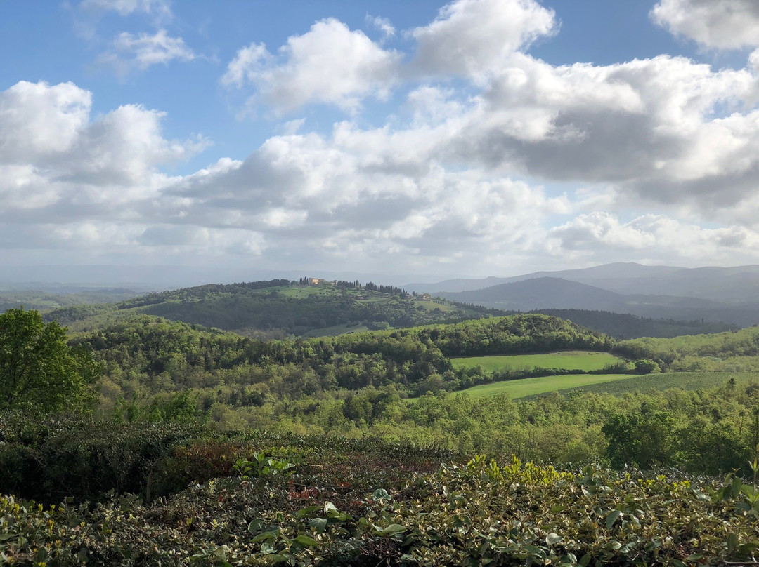 Agriturismo Cielsereno主图