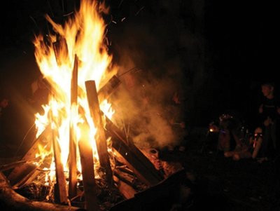 Greens Vista HomeStay主图