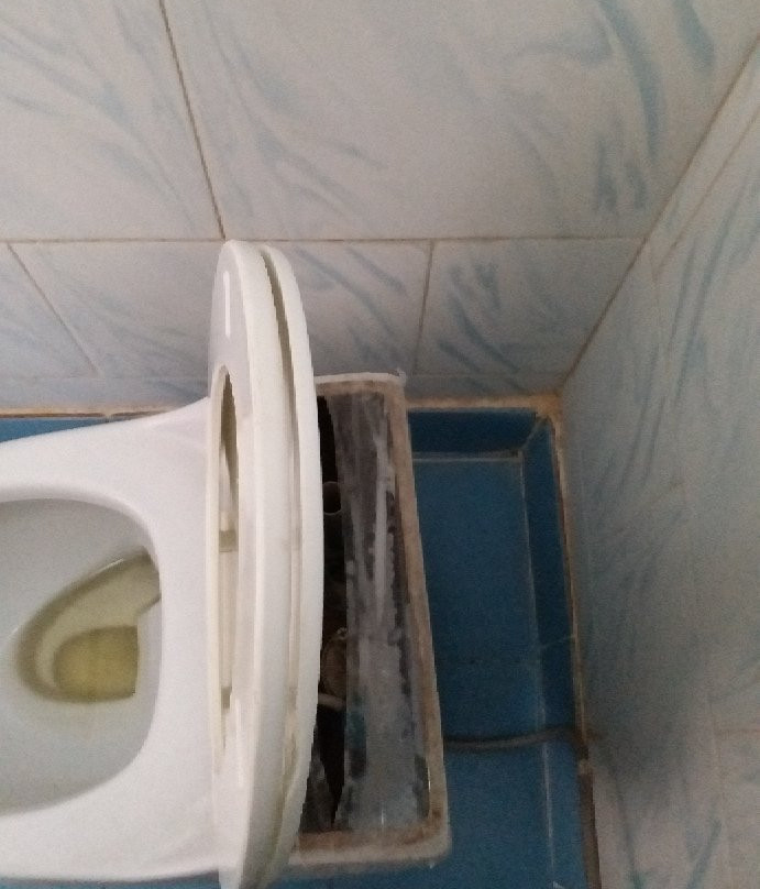 Darya Guesthouse主图