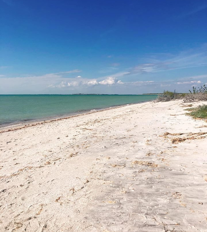 2023年11月Cayo Costa State Park景点攻略-Cayo Costa State Park门票预订|地址|图片-Cayo ...