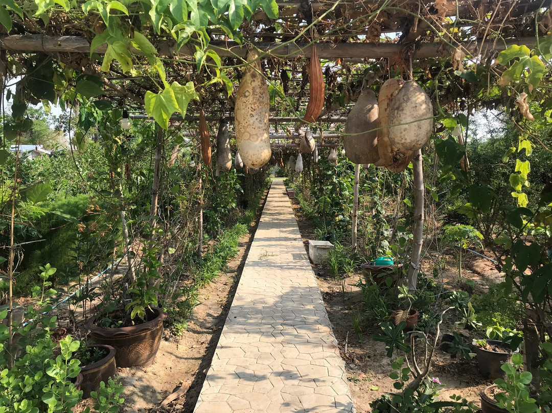 喃拜茉旅游攻略图片