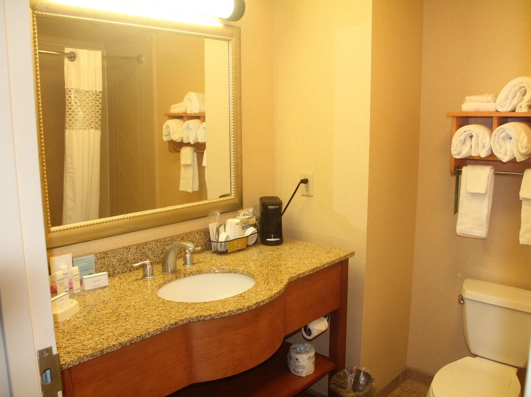 亚历山德里亚老城区南希尔顿恒庭旅馆&套房酒店主图