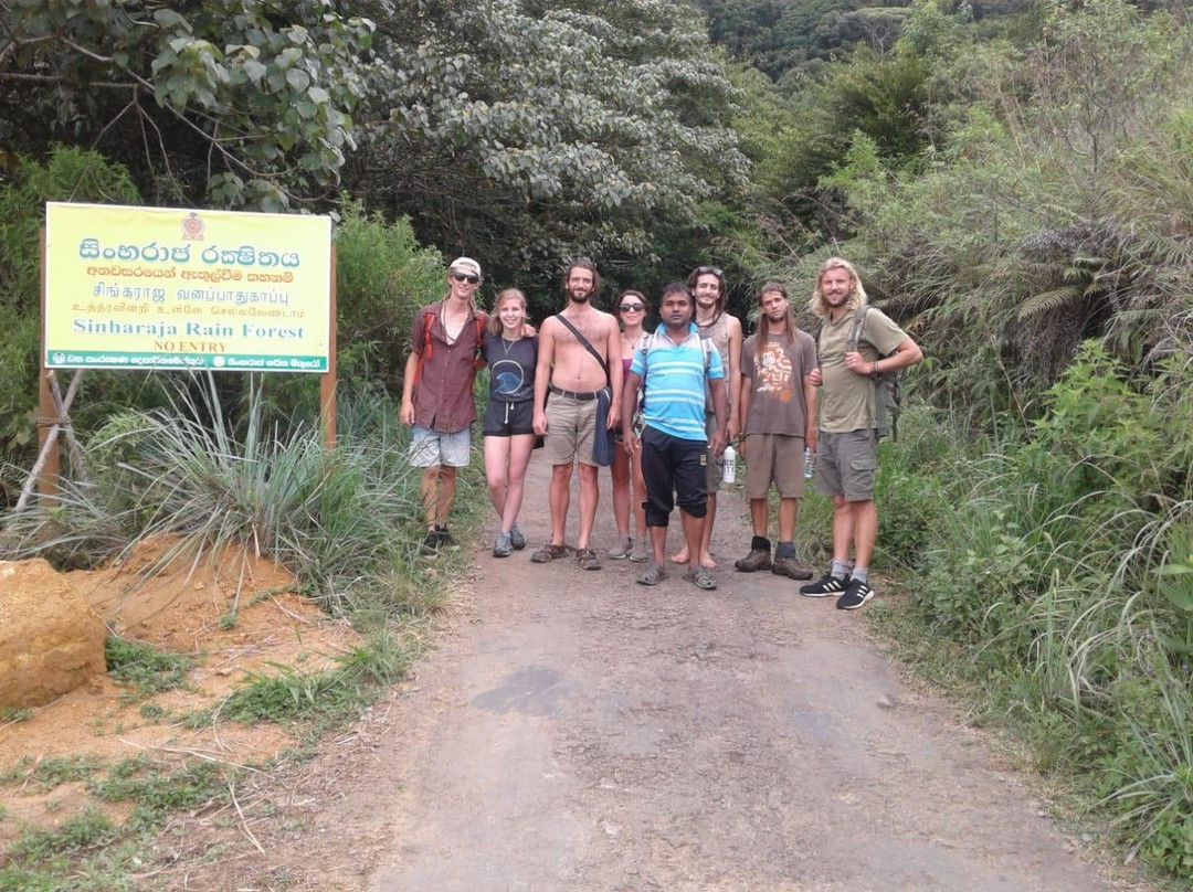 Sinharaja Rain Forest Tours-Deniyaya必去景点