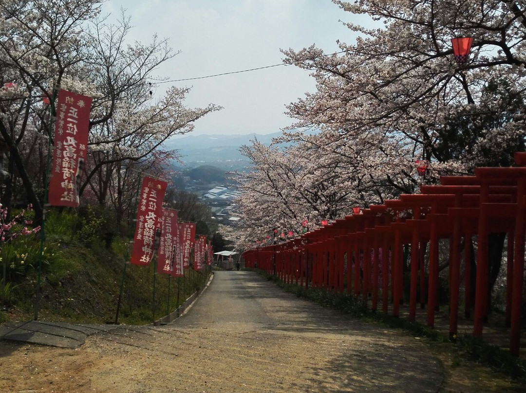 Marutaka Inari Shrine景点图片