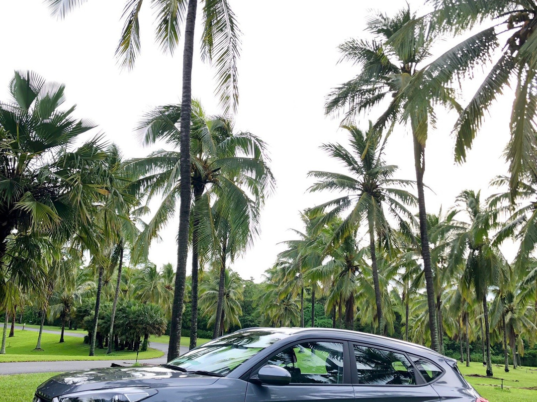 Travel Safe Transfers-道格拉斯港必去景点