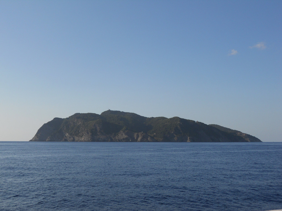 Isola di Gorgona景点图片