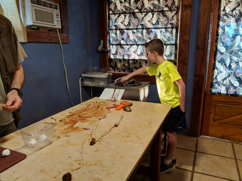 Cabure Chocolate Tour-蒙特沃德必去景点