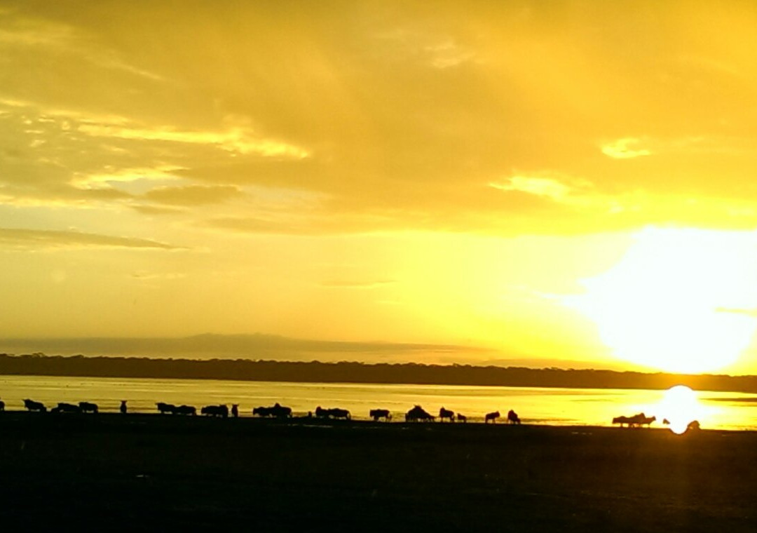Ndutu Lake景点图片