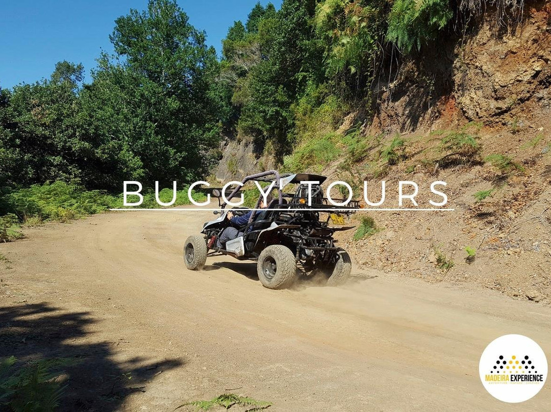 Madeira Experience-沙尔必去景点