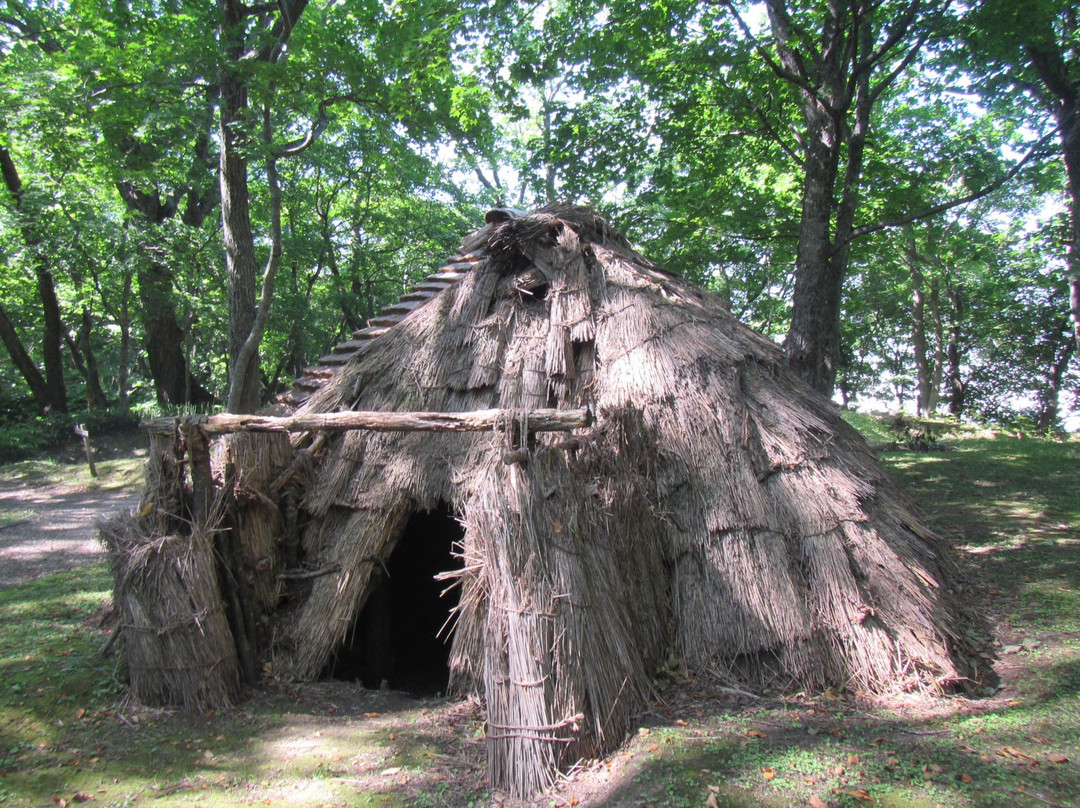 Forest of Tokoro Remains-北见市必去景点