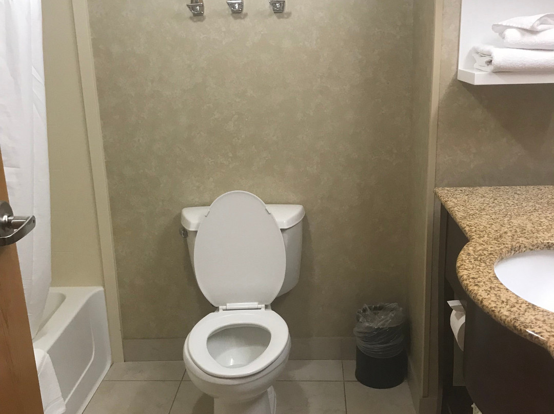 Hampton Inn Harrisonburg - South主图