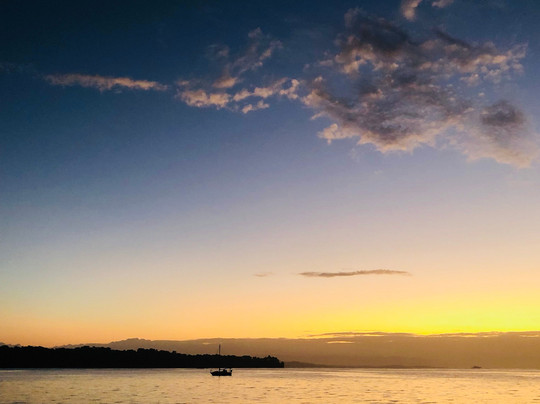 The Sea Monkey主图