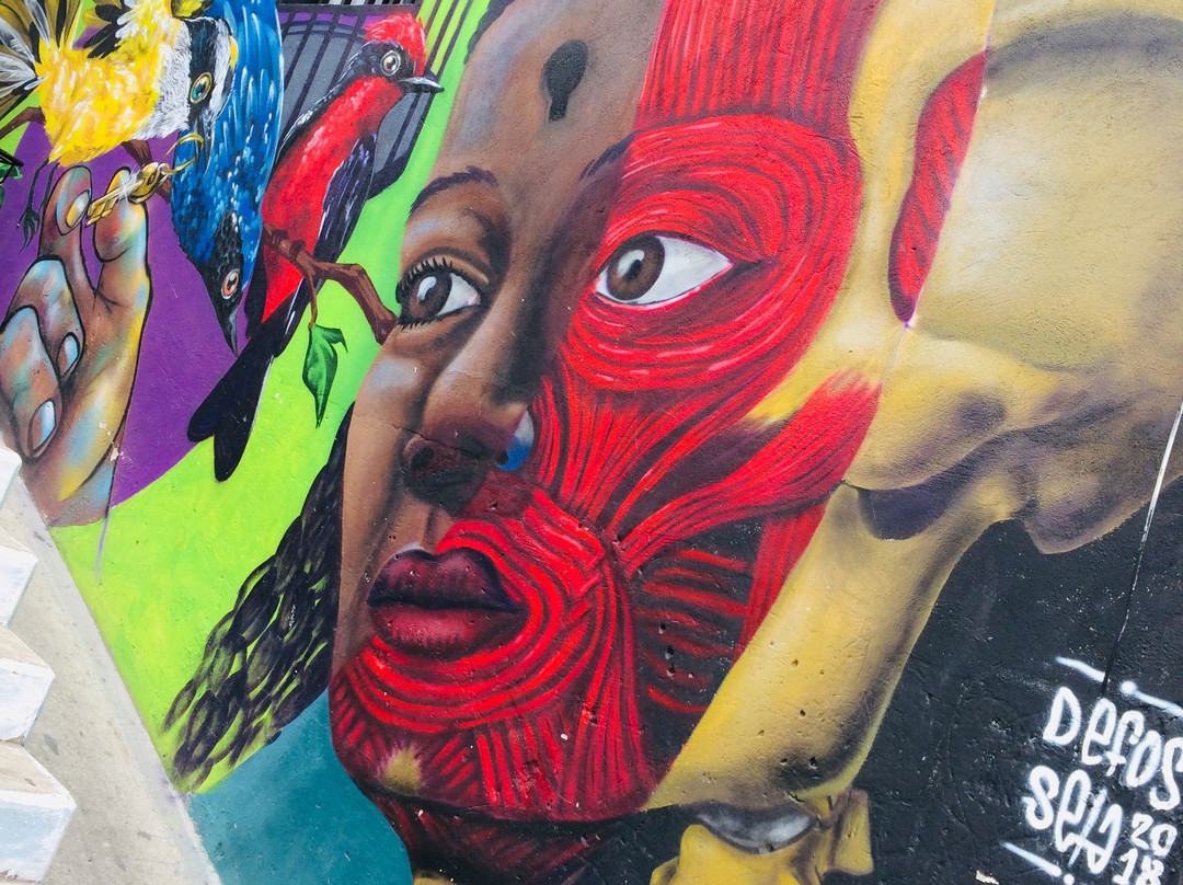 City Vibes Tours-麦德林必去景点