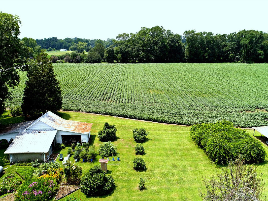 Big Mill Bed and Breakfast主图