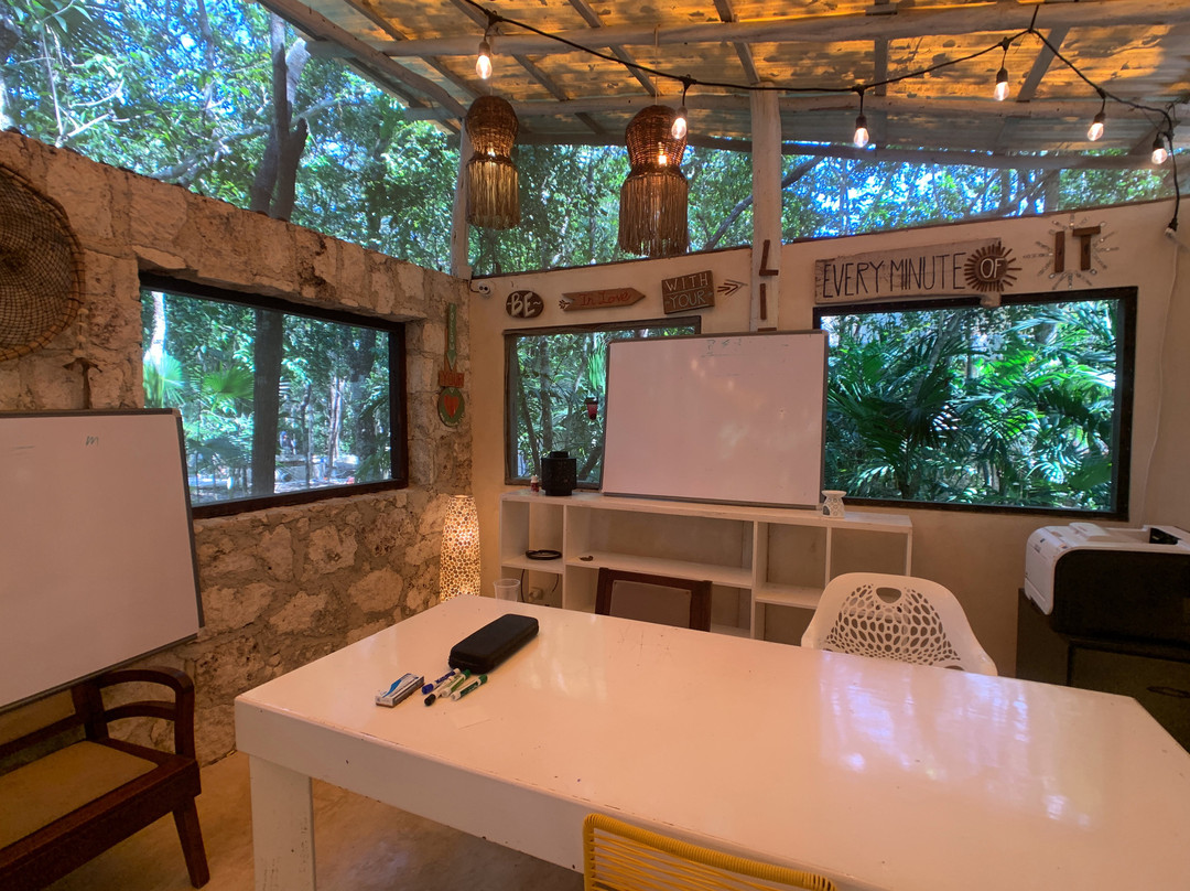 Hotel Holistika主图