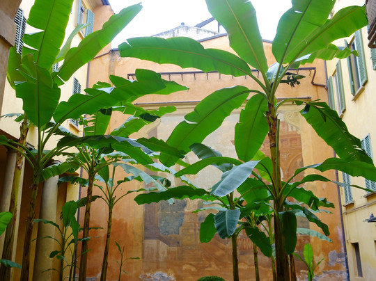 Museo Internazionale e Biblioteca della Musica-博洛尼亚必去景点