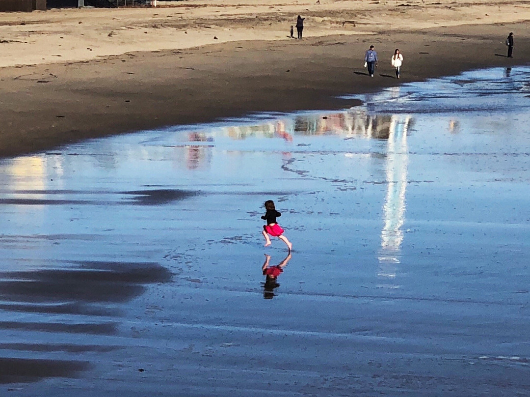 Santa Cruz Harbor Beach-圣克鲁斯必去景点