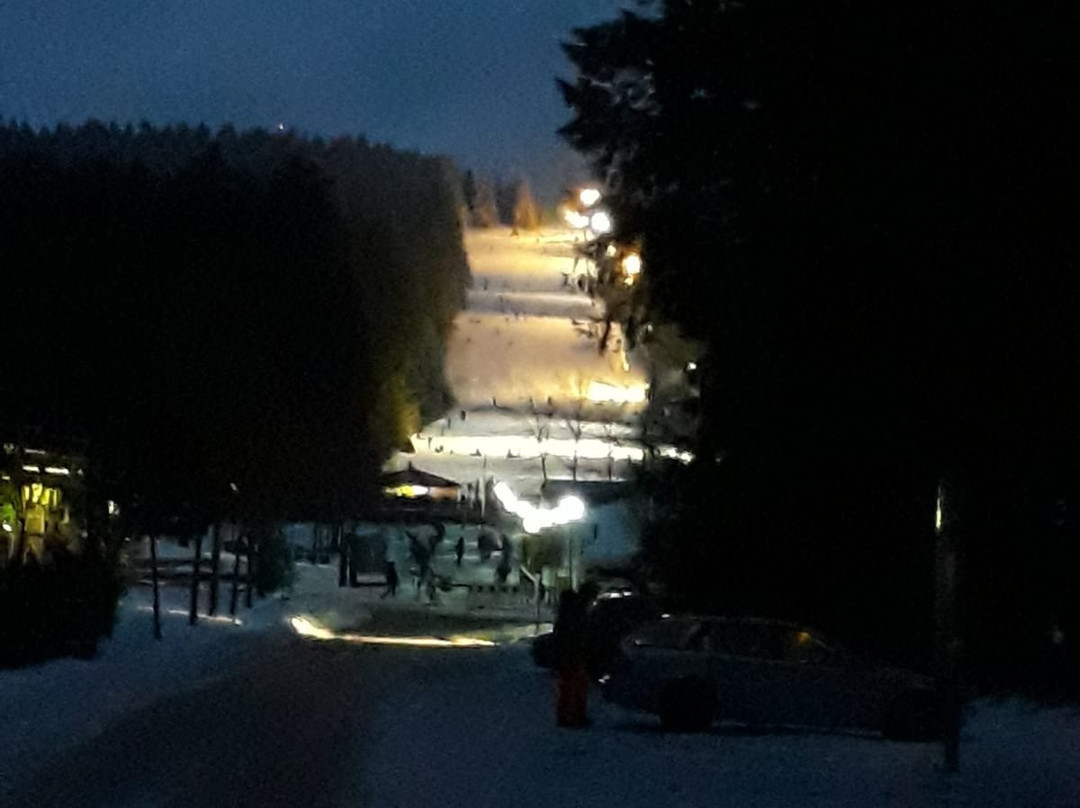 Erbeskopf Skigebiet-Thalfang必去景点