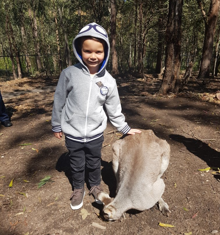 Walkabout Creek Discovery Centre-布里斯班必去景点