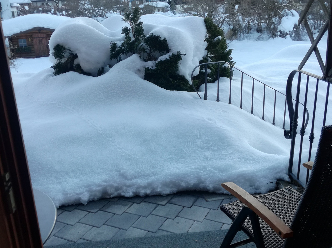 盖瑞根霍夫酒店主图