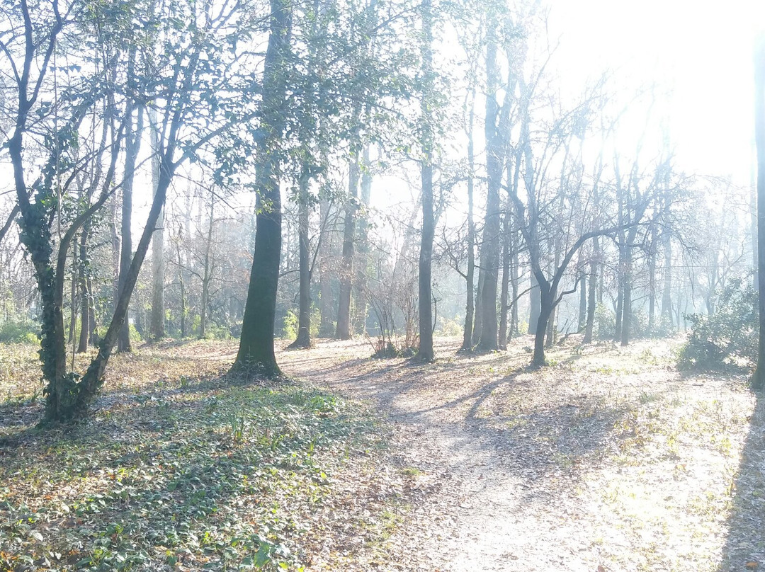 Parco Pubblico "M.A. Centanini"景点图片