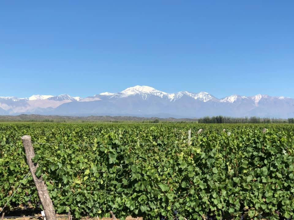 Rosell Boher Winery Lodge & Spa主图