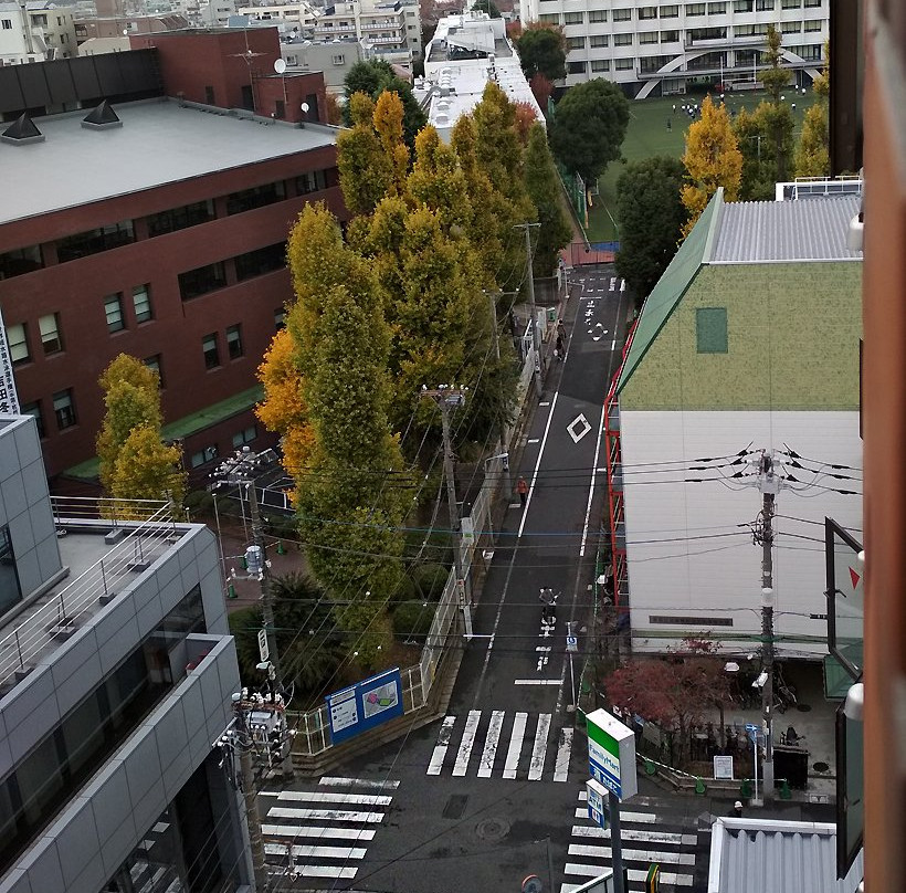 巢鸭微笑酒店主图