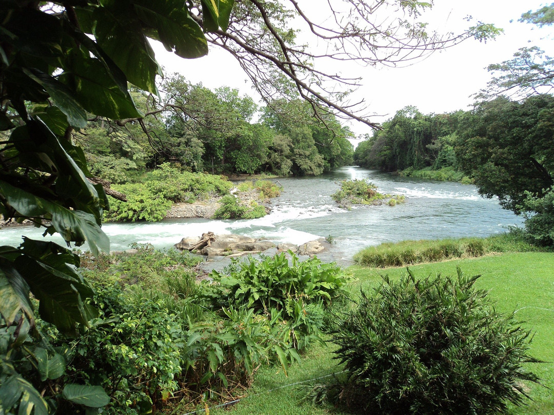 Rincón Corobicí River Float景点图片