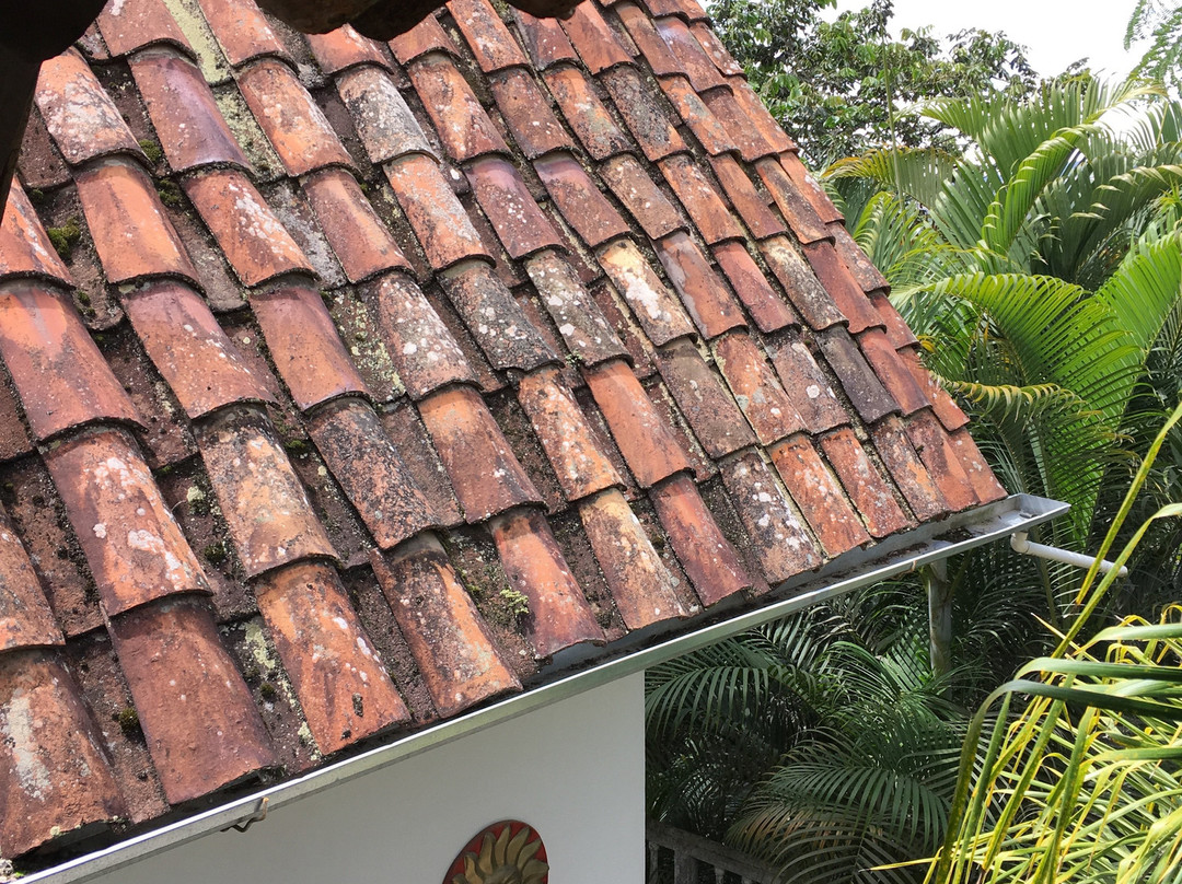 Santuario Hibiscus主图