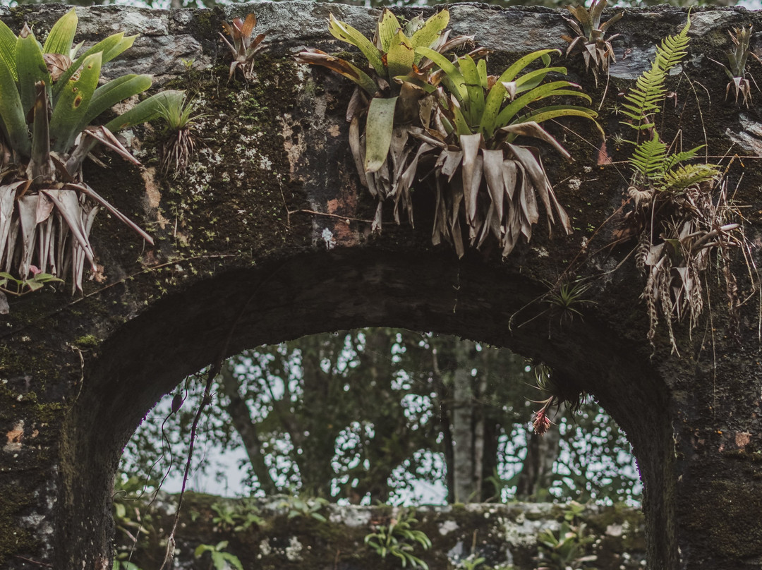 Praia da Fortaleza-Ilha do Mel必去景点