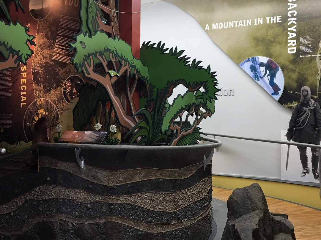 Egmont National Park Visitor Centre景点图片