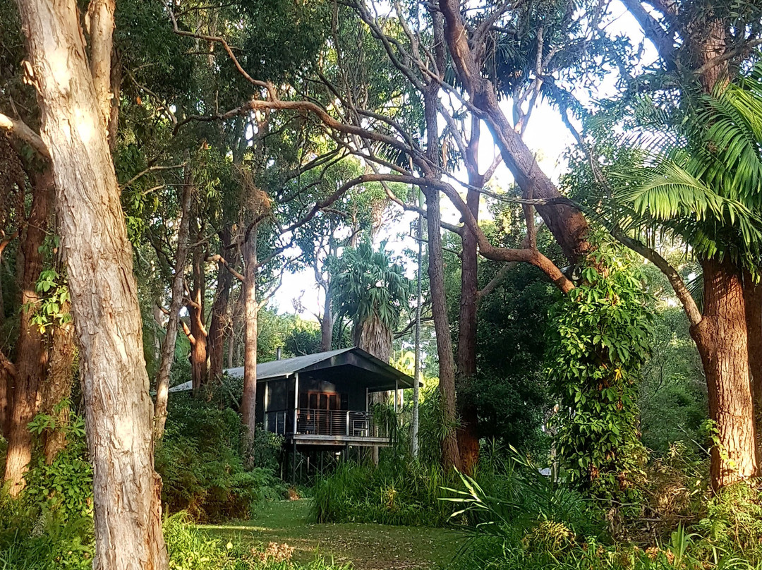 Treehouse Retreat at Diamond Waters主图