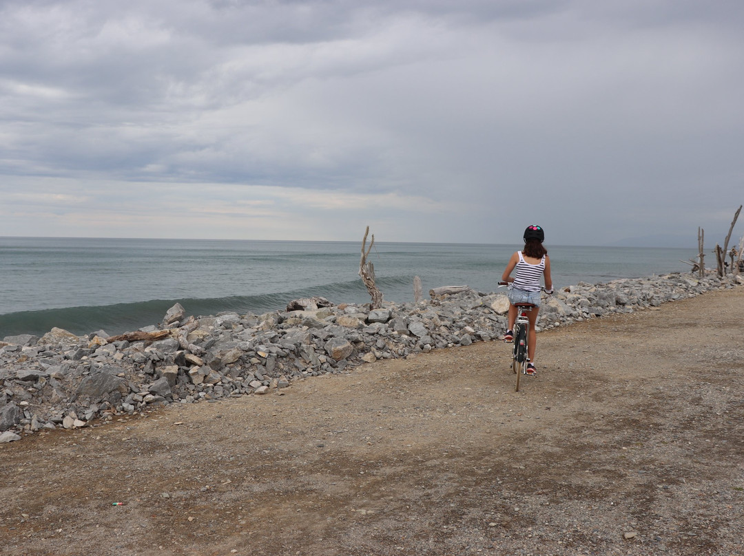 West Coast Cycle and Tours景点图片