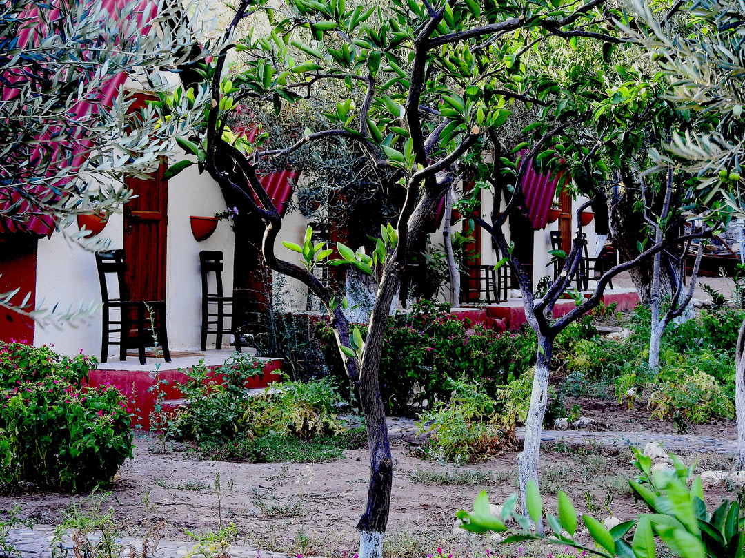 Memo's Garden Boutique Hotel